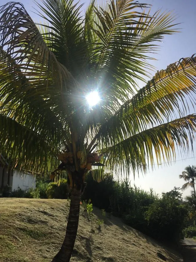 Eclat D'Oasis Villa Vieux-Habitants